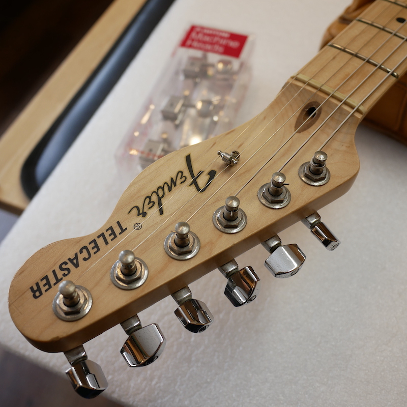 ELECTROANIMALS TELECASTER ペグ込み。